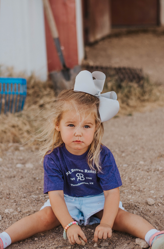 Toddler RAB t-shirt in purple